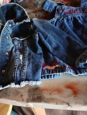 Denim Blue Girls' Embroidered Denim Dress and Jacket Set